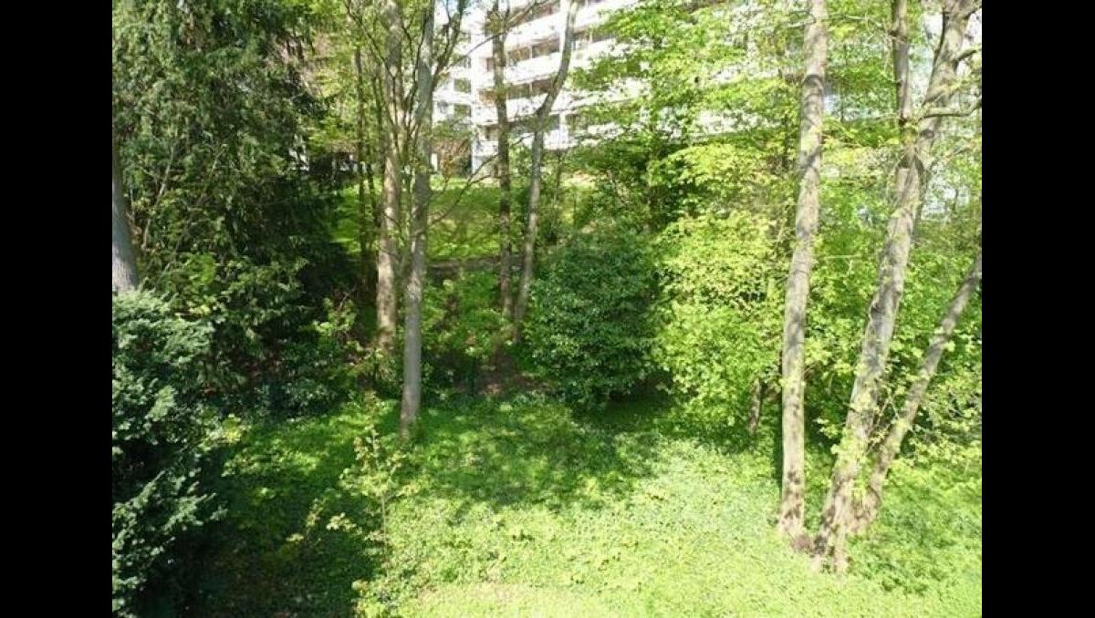 Vente appartement à Meudon(92190)